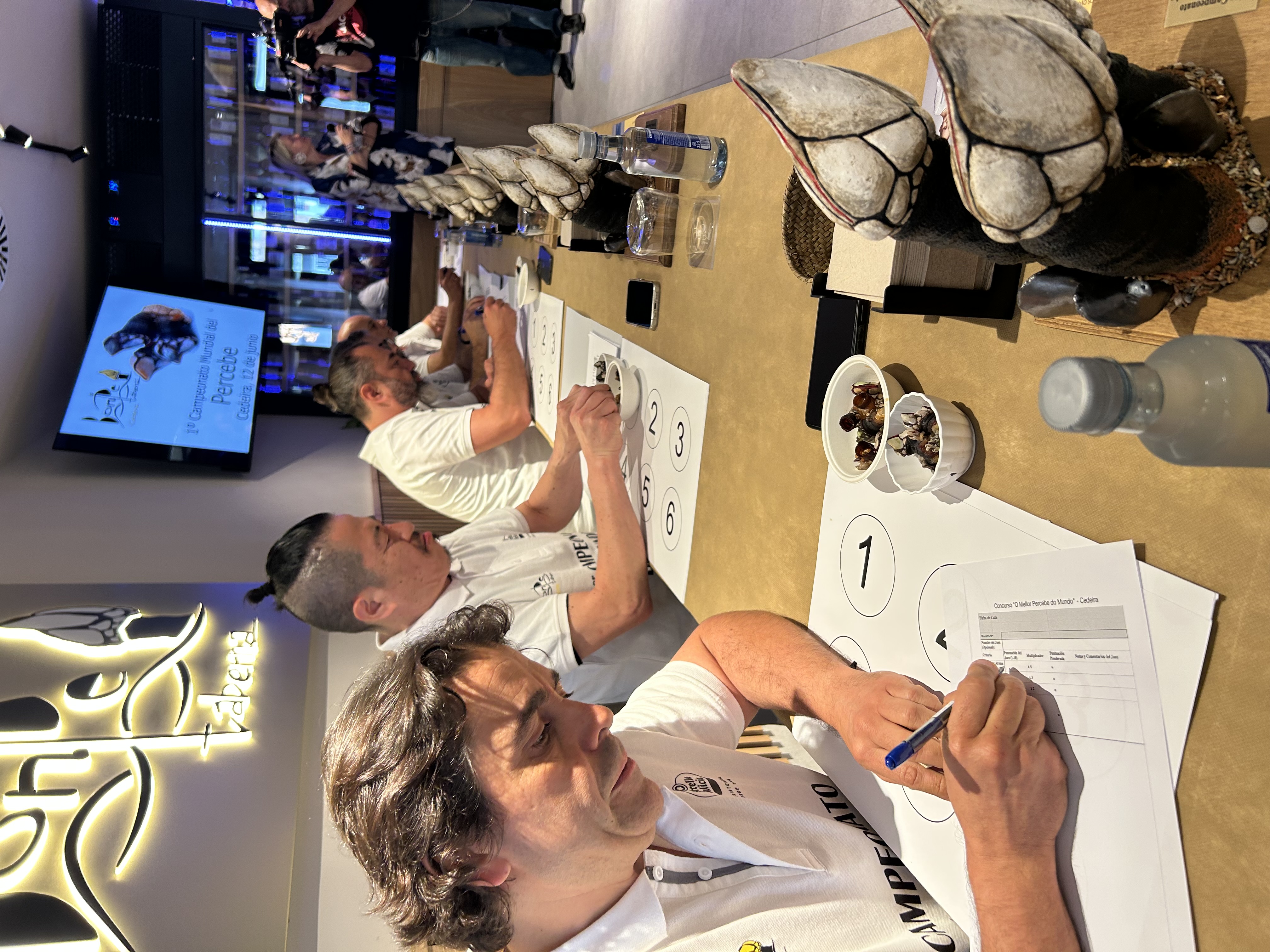 El jurado evaluando los lotes durante la cata a ciegas del Campeonato Mundial del Percebe 2025